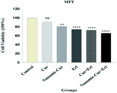 Graphical abstract: Anti-glioblastoma effects of nanomicelle-curcumin plus erlotinib
