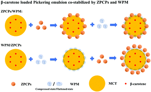 Graphical abstract: Enhanced stability and controlled gastrointestinal digestion of β-carotene loaded Pickering emulsions with particle–particle complex interfaces