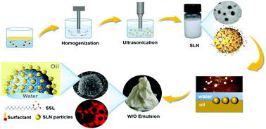 Graphical abstract: Tailored rigidity of W/O Pickering emulsions using diacylglycerol-based surface-active solid lipid nanoparticles