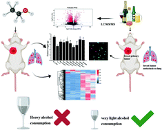 Graphical abstract: Very-light alcohol consumption suppresses breast tumor progression in a mouse model