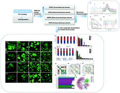 Graphical abstract: Structural modification and dynamic in vitro fermentation profiles of precooked pea starch as affected by different drying methods