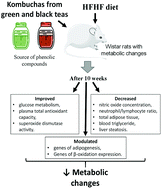 Graphical abstract: Kombuchas from green and black teas reduce oxidative stress, liver steatosis and inflammation, and improve glucose metabolism in Wistar rats fed a high-fat high-fructose diet
