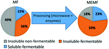 Graphical abstract: Boosting the value of insoluble dietary fiber to increase gut fermentability through food processing