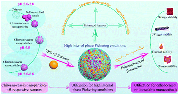 Graphical abstract: The fabrication, characterization, and application of chitosan–NaOH modified casein nanoparticles and their stabilized long-term stable high internal phase Pickering emulsions