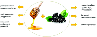Graphical abstract: The enrichment of honey with Aronia melanocarpa fruits enhances its in vitro and in vivo antioxidant potential and intensifies its antibacterial and antiviral properties