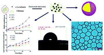 Graphical abstract: Protection of menhaden oil from oxidation in Pickering emulsion-based delivery systems with α-lactalbumin-chitosan colloidal nanoparticle