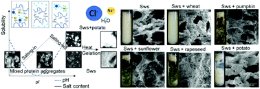 Graphical abstract: Effect of varying pH on solution interactions of soluble meat proteins with different plant proteins