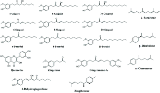 Graphical abstract: Ginger: a systematic review of clinical trials and recent advances in encapsulation of its bioactive compounds