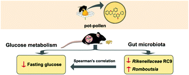 Graphical abstract: Pot-pollen supplementation reduces fasting glucose and modulates the gut microbiota in high-fat/high-sucrose fed C57BL/6 mice