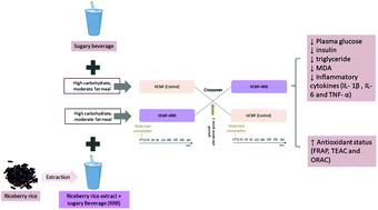 Graphical abstract: Riceberry rice beverage decreases postprandial glycemic response, inflammatory markers and antioxidant status induced by a high-carbohydrate and moderate-fat meal in overweight and obese men