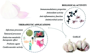 Graphical abstract: Biological properties and therapeutic applications of garlic and its components