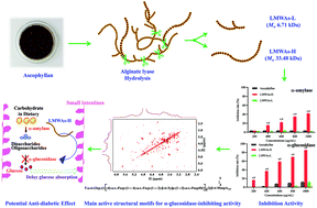 Graphical abstract: Inhibitory effects of a low-molecular-weight sulfated fucose-containing saccharide on α-amylase and α-glucosidase prepared from ascophyllan