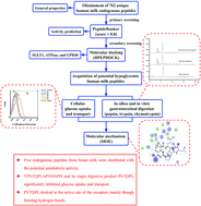 Graphical abstract: Combining in silico and in vitro approaches to identify endogenous hypoglycemic peptides from human milk