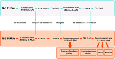 Graphical abstract: N-3 PUFAs and their specialized pro-resolving lipid mediators on airway inflammatory response: beneficial effects in the prevention and treatment of respiratory diseases