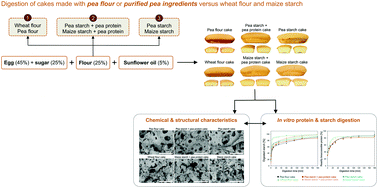 Graphical abstract: In vitro digestion of protein and starch in sponge cakes formulated with pea (Pisum sativum L.) ingredients