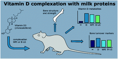 Graphical abstract: Administration of whey protein complexed vitamin D3 to vitamin D3-deficient growing Sprague-Dawley rats