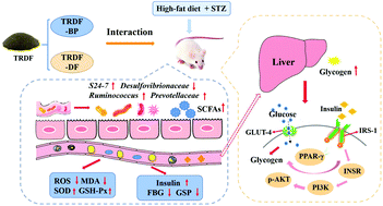 Graphical abstract: Elucidation of the interaction effect between dietary fiber and bound polyphenol components on the anti-hyperglycemic activity of tea residue dietary fiber