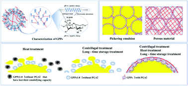 Graphical abstract: Fabrication and characterization of superior stable Pickering emulsions stabilized by propylene glycol alginate gliadin nanoparticles