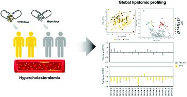 Graphical abstract: Lipidomic profiling analysis of human plasma from subjects with hypercholesterolemia to evaluate the intake of yellow yeast rice fermented by Aspergillus terreus DSMK01