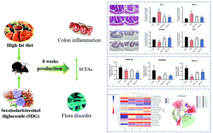 Graphical abstract: Secoisolariciresinol diglucoside ameliorates high fat diet-induced colon inflammation and regulates gut microbiota in mice