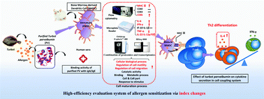 Graphical abstract: Fish allergens of turbot (Scophthalmus maximus) parvalbumin triggers food allergy via inducing maturation of bone marrow derived dendritic cells and driving Th2 immune response