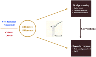 Graphical abstract: Ethnicity impact on oral processing behaviour and glycemic response to noodles: Chinese (Asian) vs. New Zealander (Caucasian)