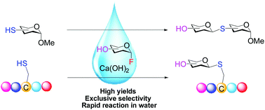 Graphical abstract: Protecting-group-free S-glycosylation towards thioglycosides and thioglycopeptides in water