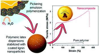Graphical abstract: Access to tough and transparent nanocomposites via Pickering emulsion polymerization using biocatalytic hybrid lignin nanoparticles as functional surfactants