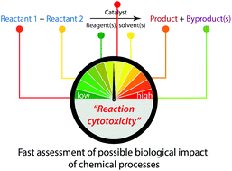 Graphical abstract: Building bio-Profiles for common catalytic reactions