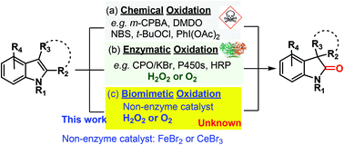 Graphical abstract: Fenton chemistry enables the catalytic oxidative rearrangement of indoles using hydrogen peroxide