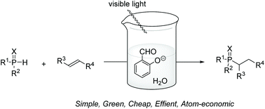 Graphical abstract: Visible light induced hydrophosphinylation of unactivated alkenes catalyzed by salicylaldehyde