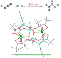 Graphical abstract: Heterobimetallic complexes composed of bismuth and lithium carboxylates as polyurethane catalysts – alternatives to organotin compounds