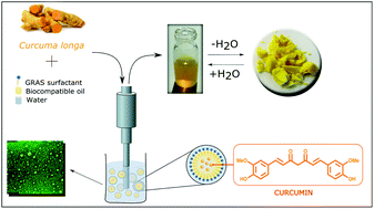 Graphical abstract: One-pot solvent-free extraction and formulation of lipophilic natural products: from curcuma to dried formulations of curcumin