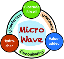 Graphical abstract: Microwave-assisted hydrothermal treatments for biomass valorisation: a critical review