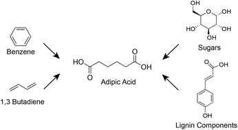 Graphical abstract: A critical review on the progress and challenges to a more sustainable, cost competitive synthesis of adipic acid