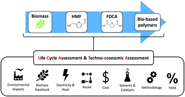 Graphical abstract: Production of HMF, FDCA and their derived products: a review of life cycle assessment (LCA) and techno-economic analysis (TEA) studies