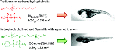 Graphical abstract: Expanding the structural diversity of hydrophobic ionic liquids: physicochemical properties and toxicity of Gemini ionic liquids