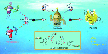 Graphical abstract: Metal-free and mild photo-thermal synergism in ionic liquids for lignin Cα–Cβ bond cleavage to provide aldehydes