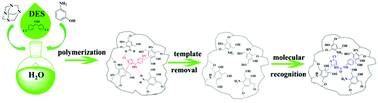 Graphical abstract: A simple and benign protocol for the synthesis of a deep eutectic solvent-based hydrophilic molecularly imprinted resin in water for excellent selective molecular recognition in aqueous phase