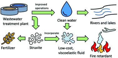 Graphical abstract: More than a fertilizer: wastewater-derived struvite as a high value, sustainable fire retardant