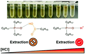 Graphical abstract: Solvent extraction in extended hydrogen bonded fluids – separation of Pt(iv) from Pd(ii) using TOPO-based type V DES