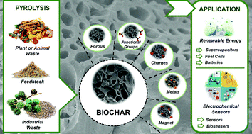 Graphical abstract: State-of-the-art and perspectives in the use of biochar for electrochemical and electroanalytical applications