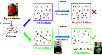 Graphical abstract: Separation of short-chain glucan oligomers from molten salt hydrate and hydrolysis to glucose