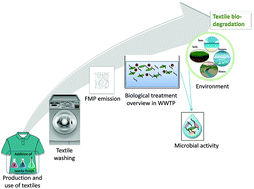 Graphical abstract: The influence of textile finishing agents on the biodegradability of shed fibres