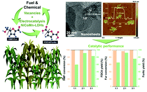 Graphical abstract: Electrochemical upgrading of biomass-derived 5-hydroxymethylfurfural and furfural over oxygen vacancy-rich NiCoMn-layered double hydroxides nanosheets