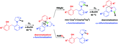 Graphical abstract: Divergent α-functionalization of cyclic amines via ring construction by molecular O2 oxidized dearomatization and ring deconstruction by aromatization-driven C–C σ-bond cleavage