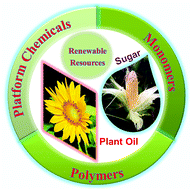 Graphical abstract: Refining plant oils and sugars to platform chemicals, monomers, and polymers