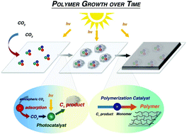 Graphical abstract: A mathematical analysis of carbon fixing materials that grow, reinforce, and self-heal from atmospheric carbon dioxide