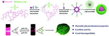 Graphical abstract: A simple preparation process for an efficient nano-formulation: small molecule self-assembly based on spinosad and sulfamic acid
