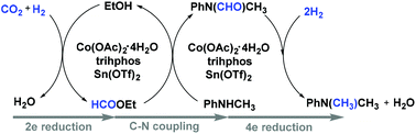 Graphical abstract: Alcohol promoted N-methylation of anilines with CO2/H2 over a cobalt catalyst under mild conditions